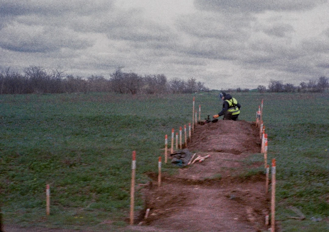 landscape assessment