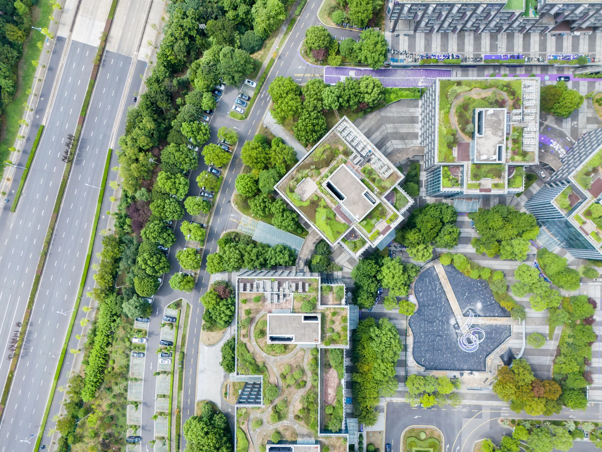 urban green infrastructure