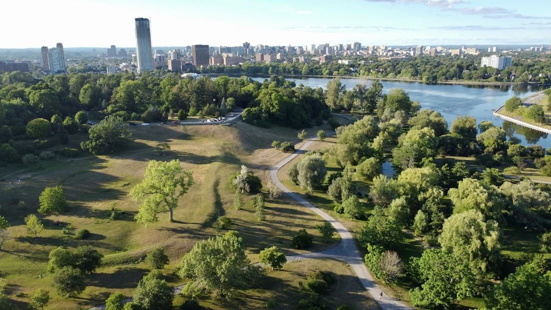 urban forest