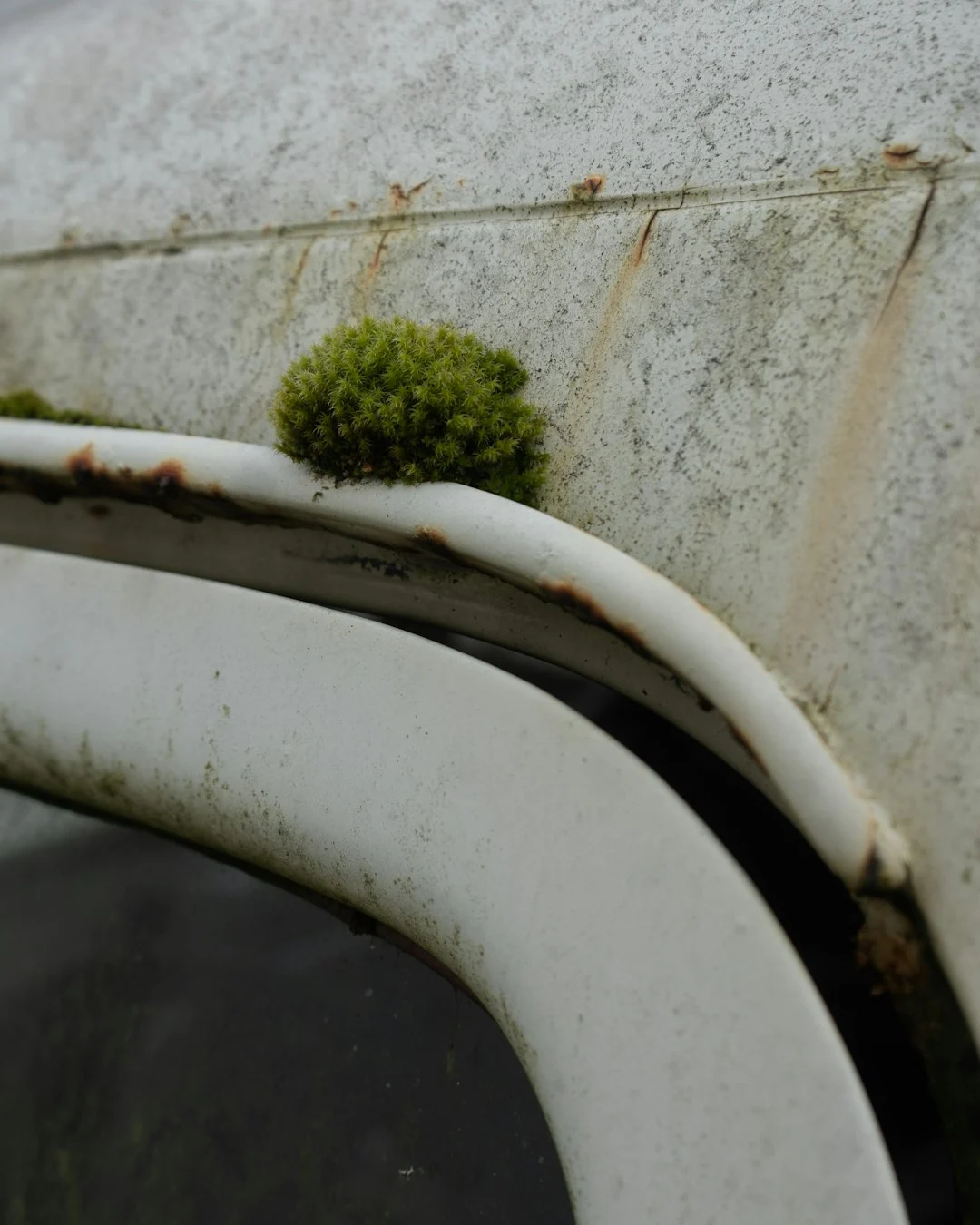 environmental impact