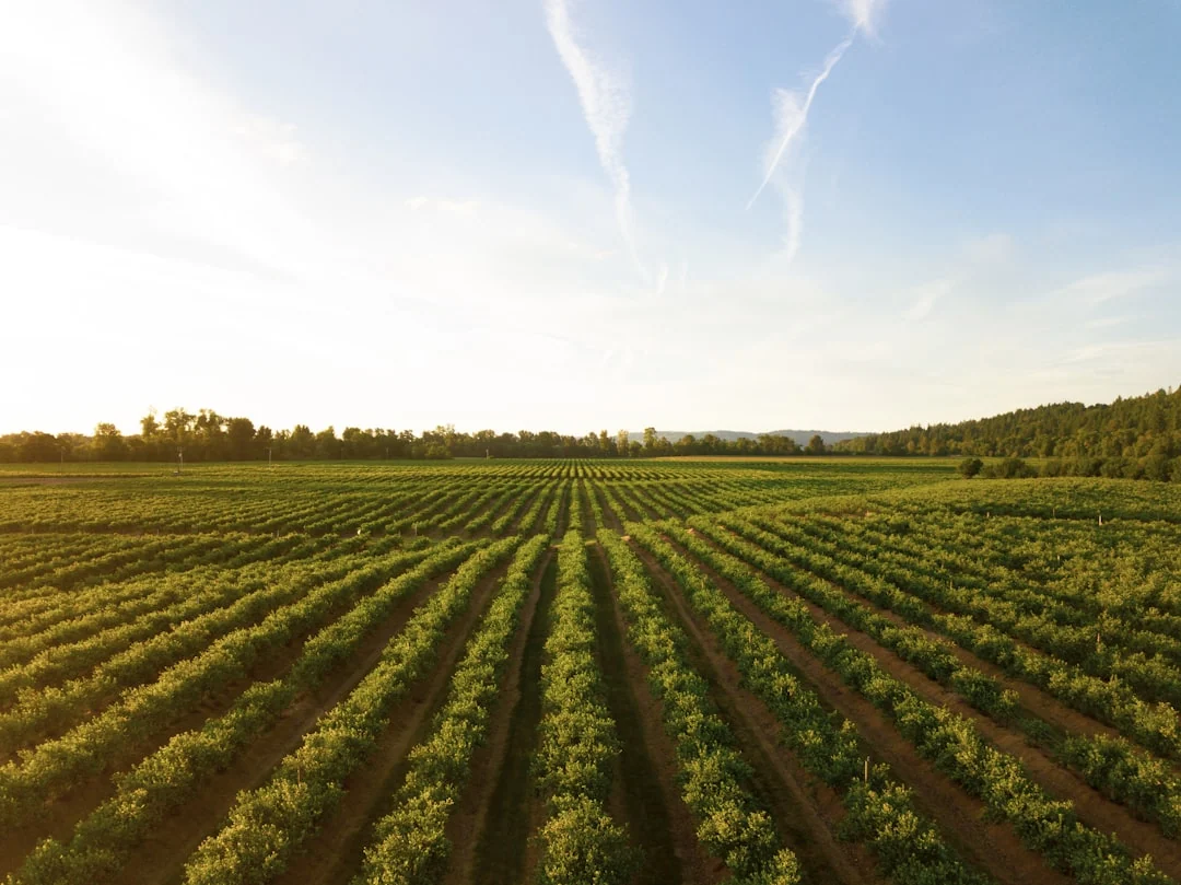agriculture technology