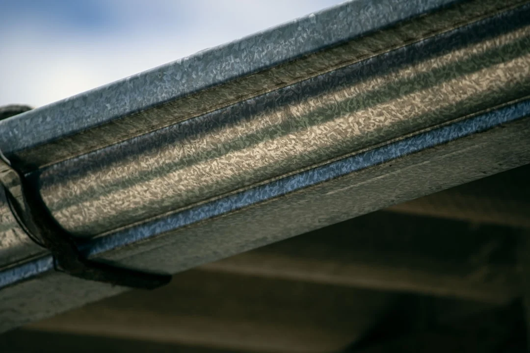 gutter maintenance