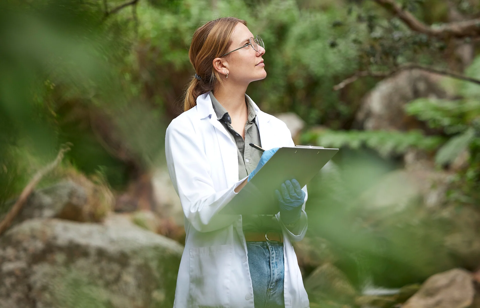 environmental analysis