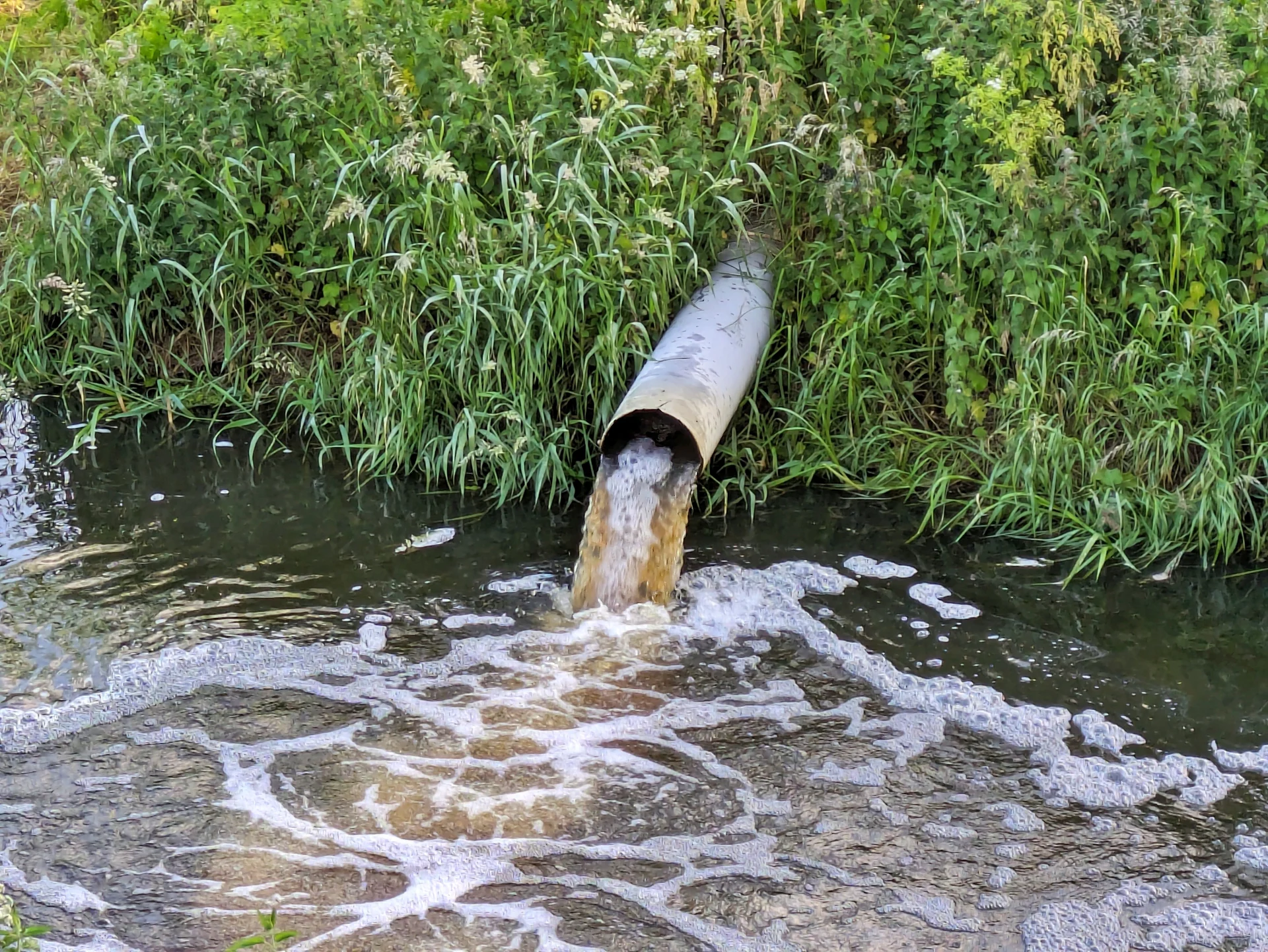 water pollution