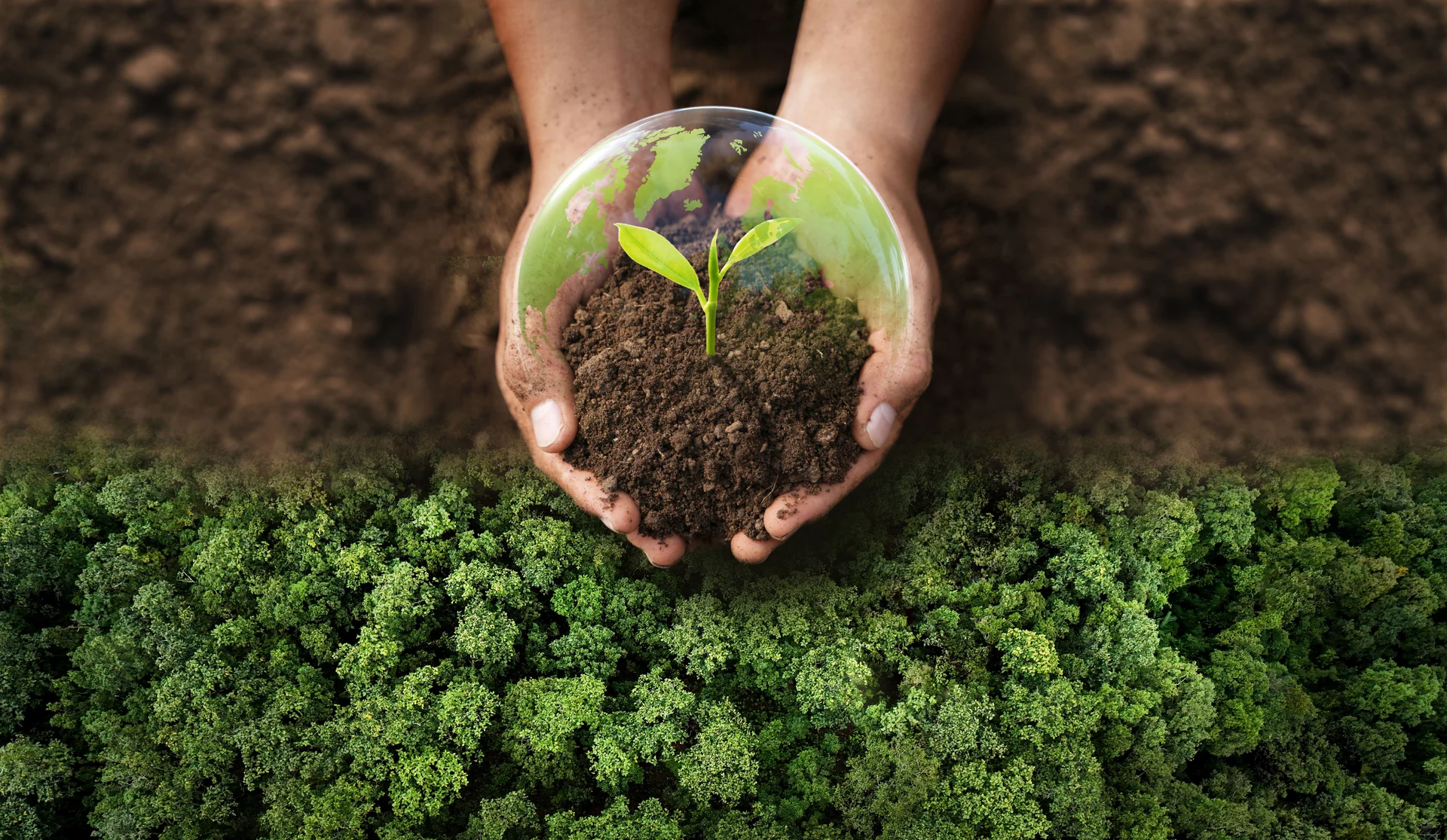 environmental policy
