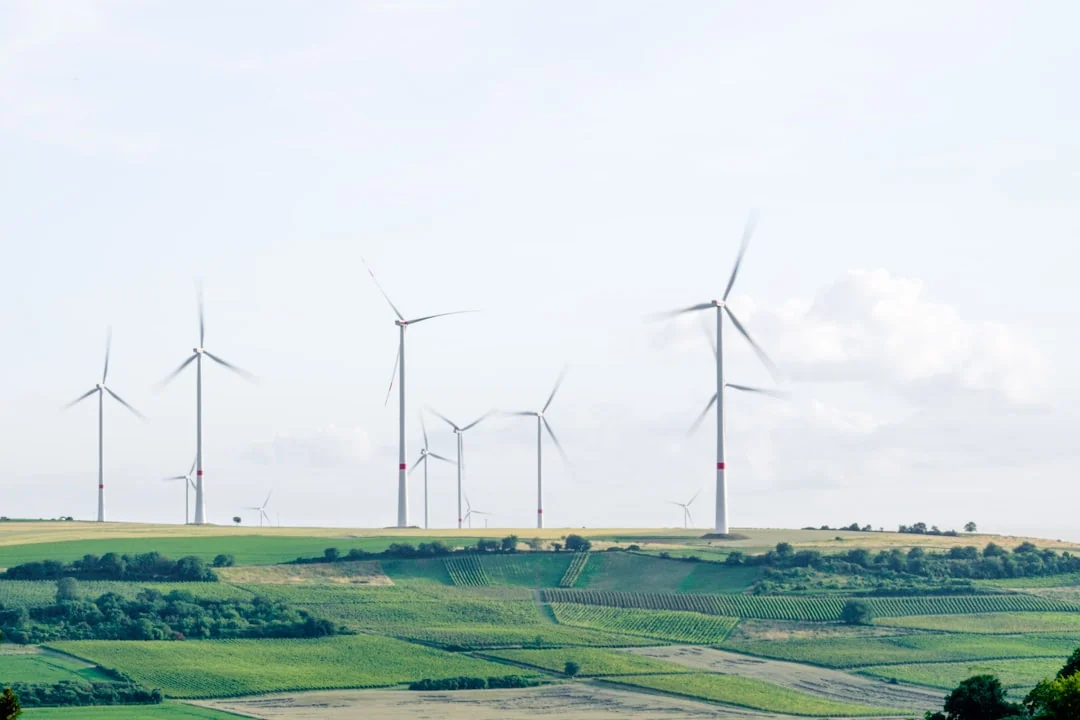 windmill surrounded by grass during daytime