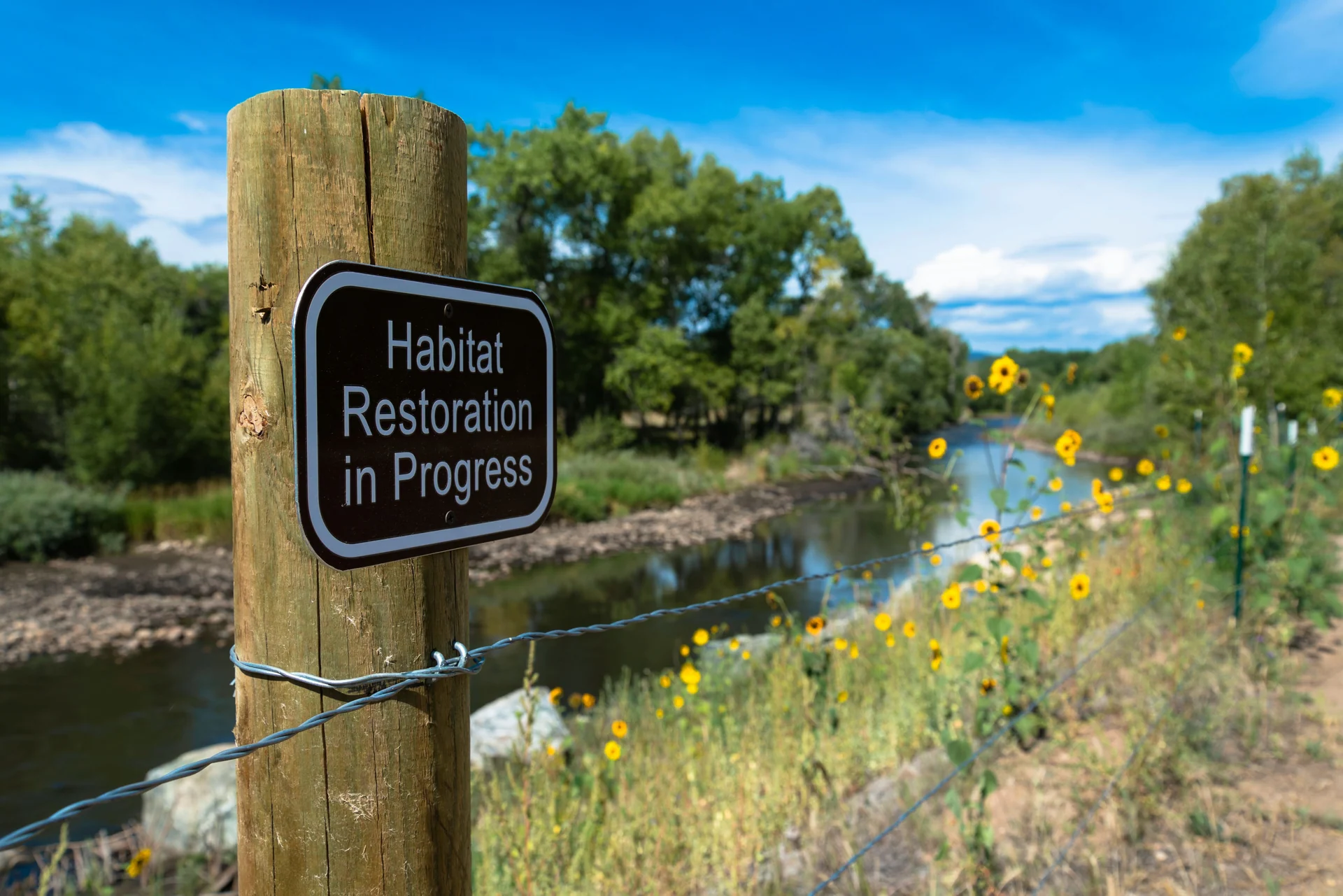 habitat restoration