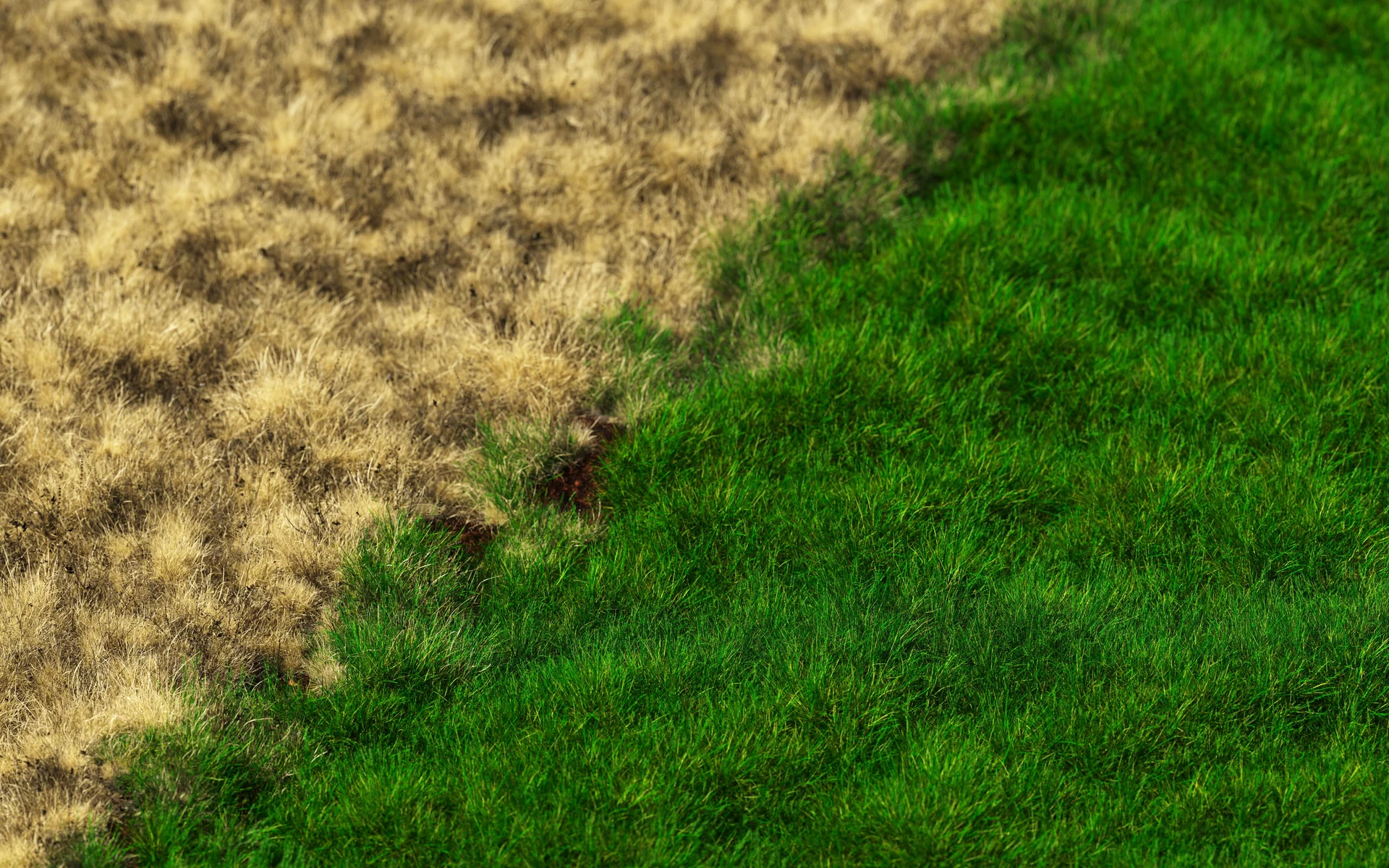 environmental impact