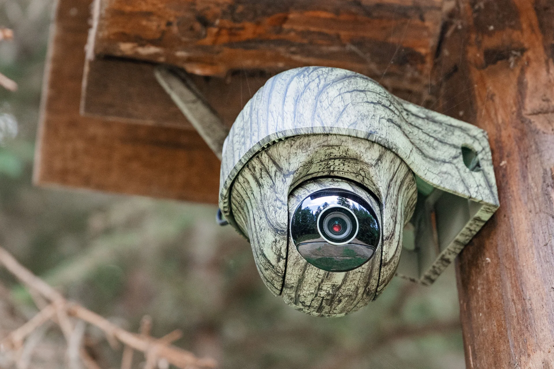 wildlife monitoring