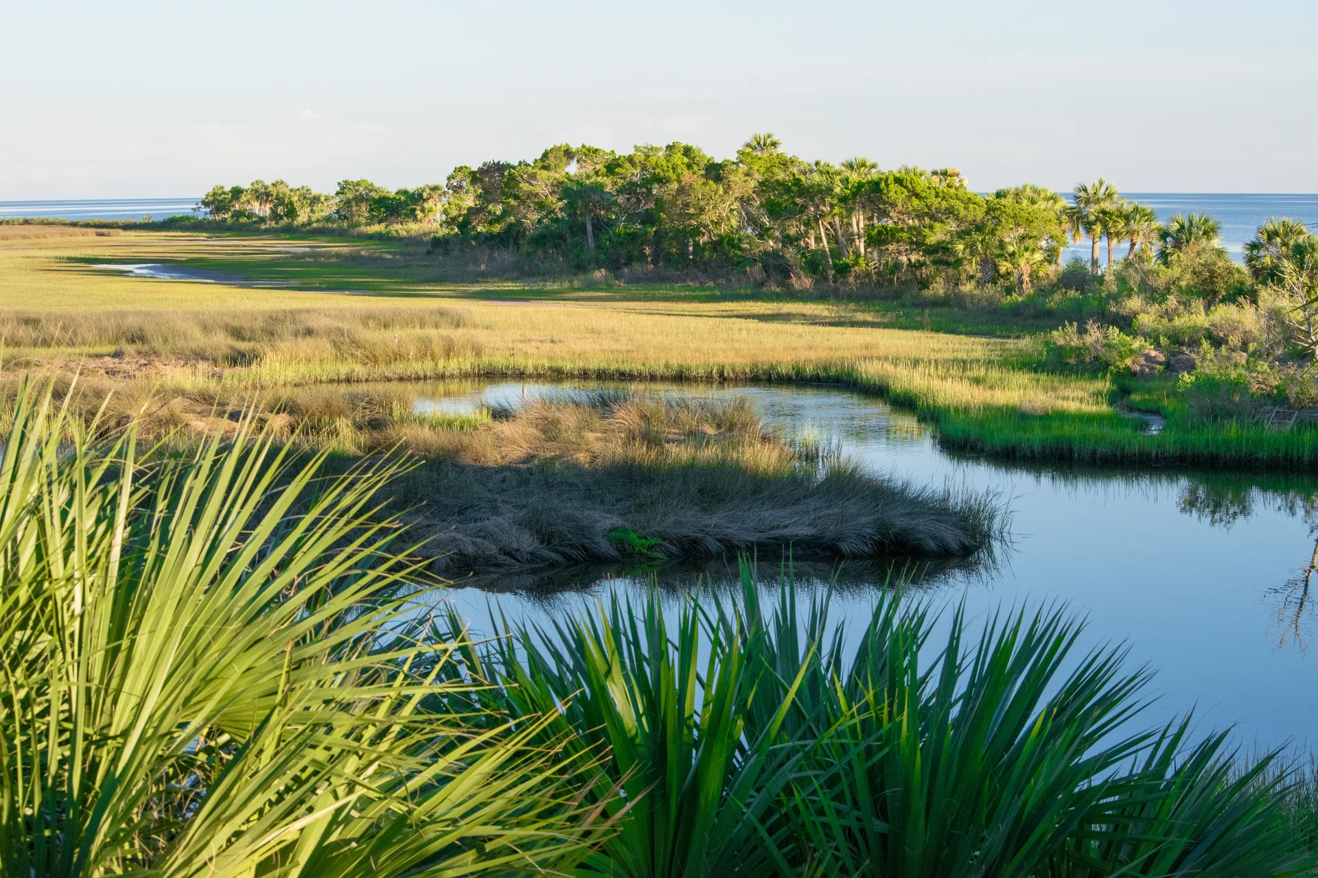 florida ecosystem