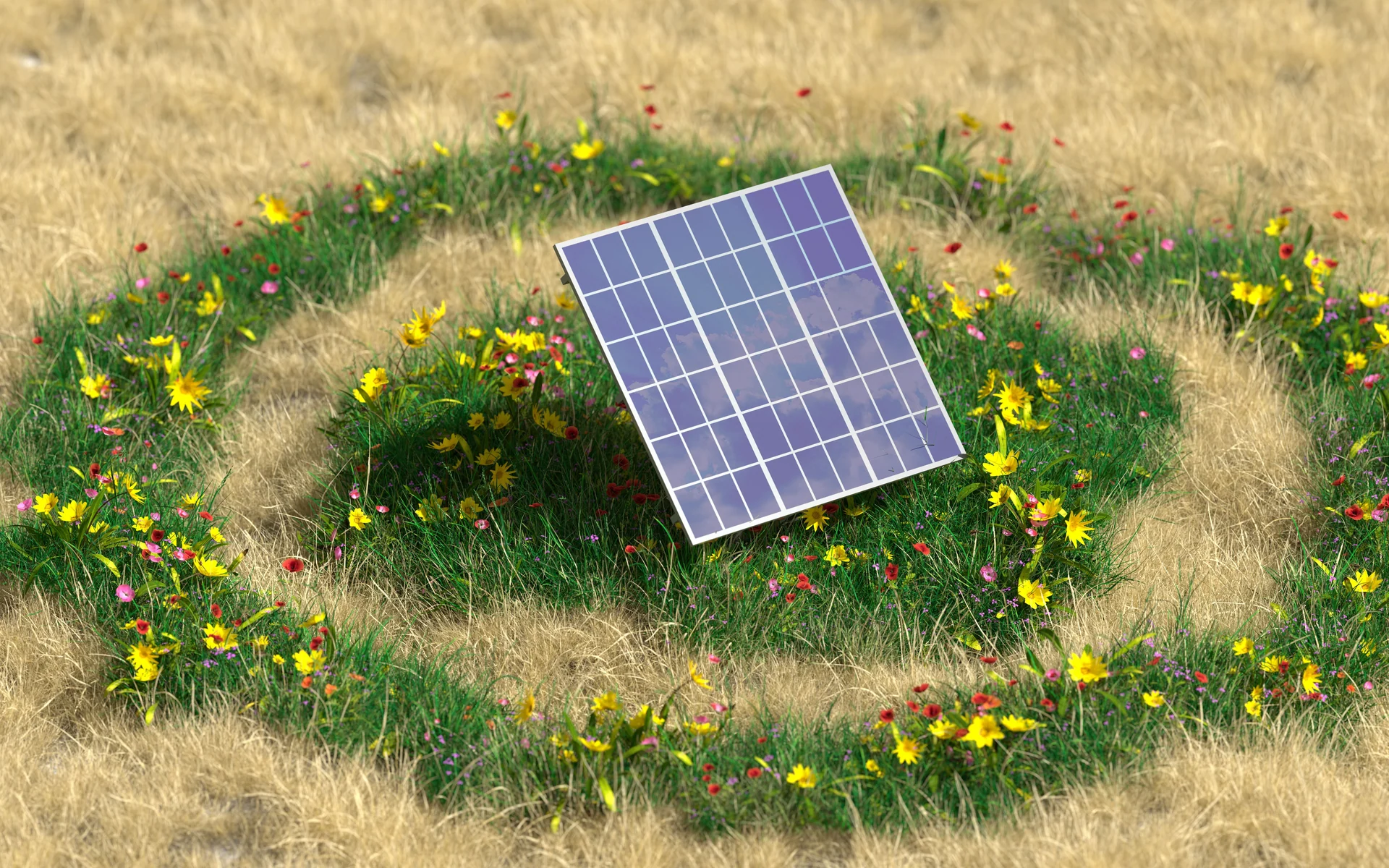 sustainable landscape