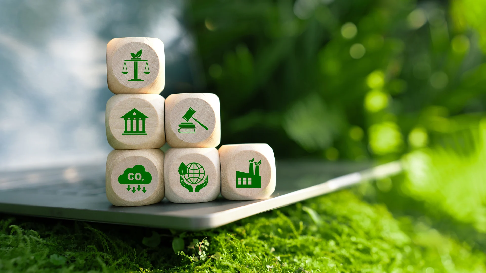 Environment Law concept. Wooden block with environmental law icons. Concept of international law environmental protection, environmental impact assessment, climate regulation, eco-friendly.