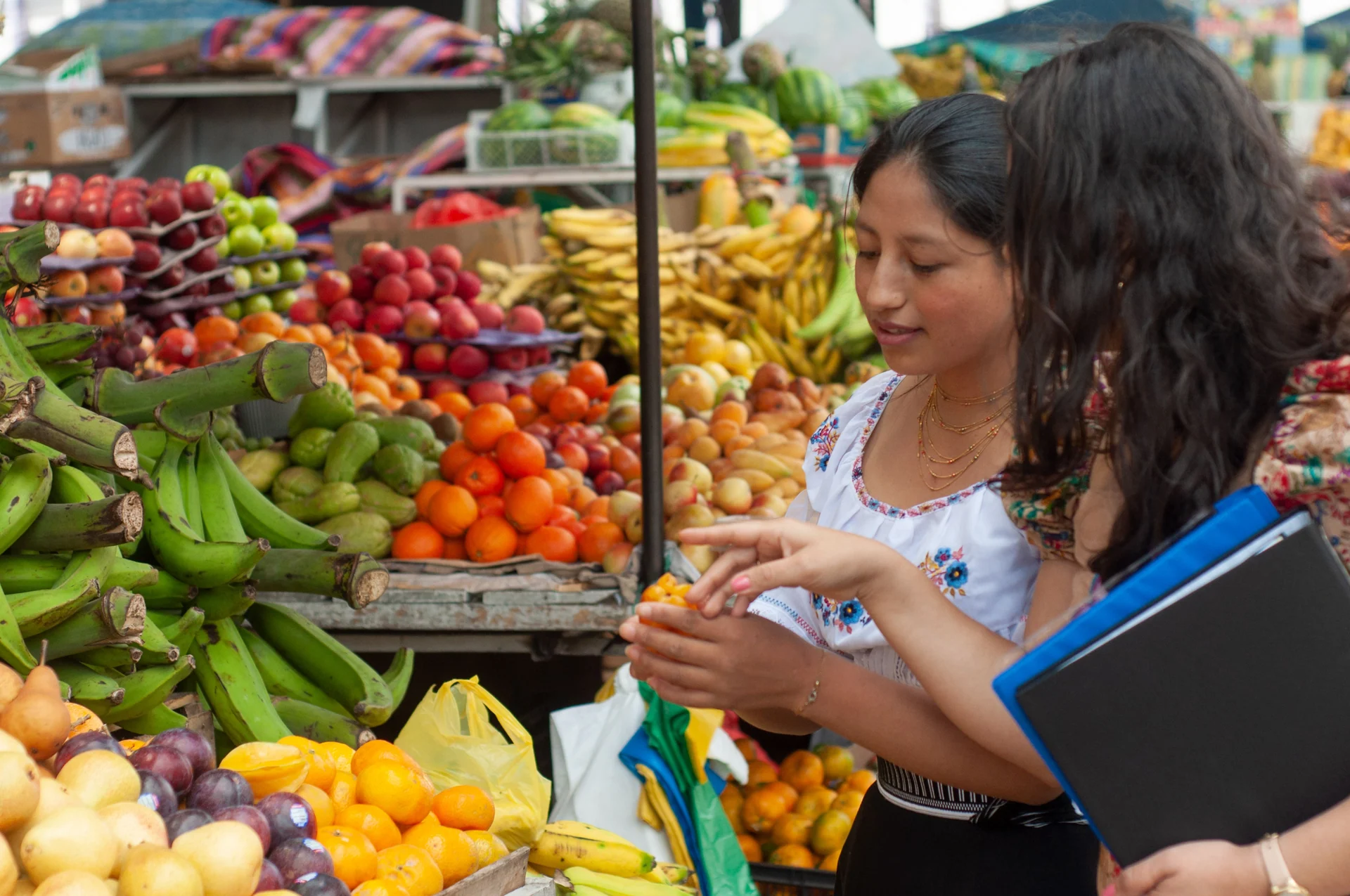 local farmers market
