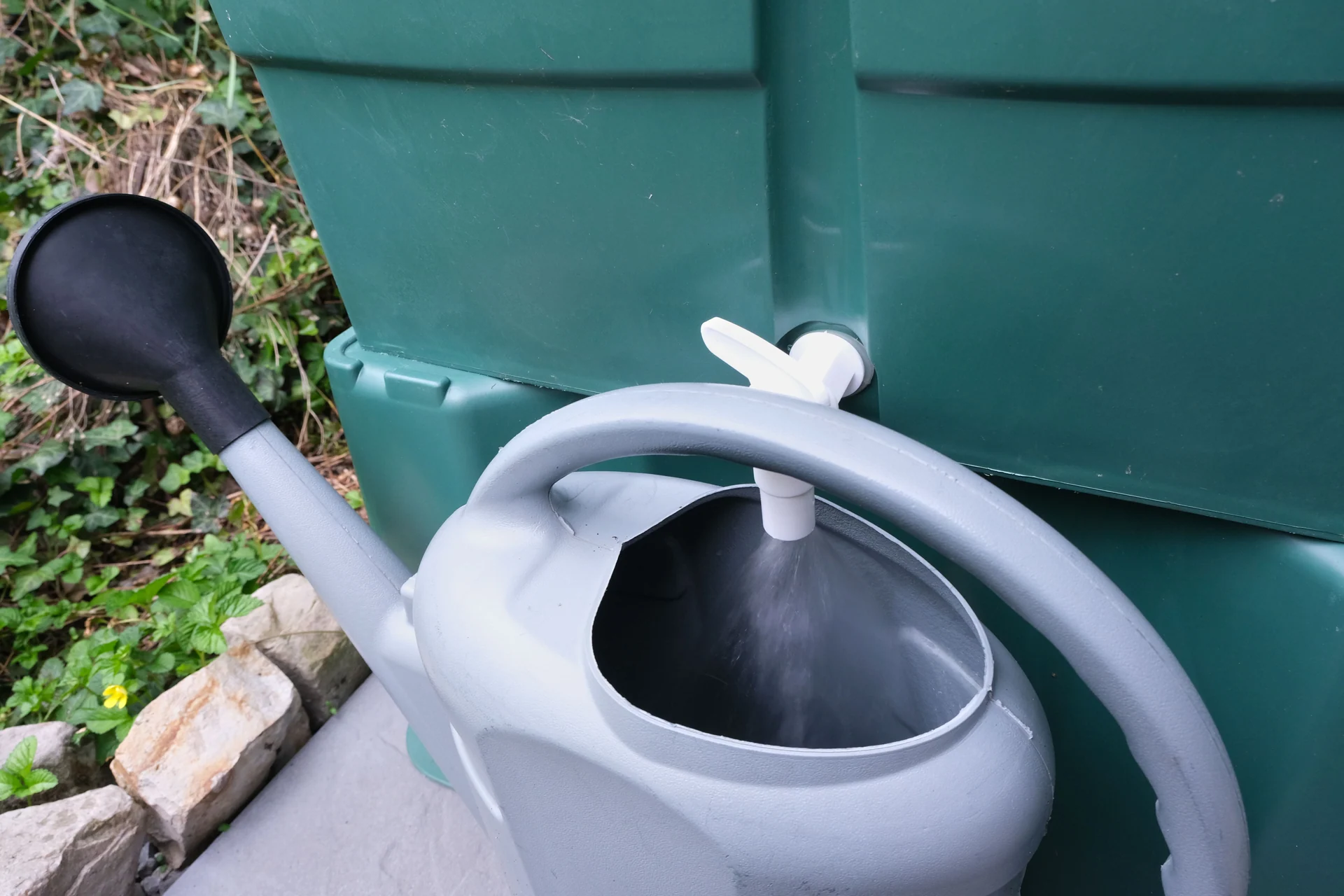 rain barrel