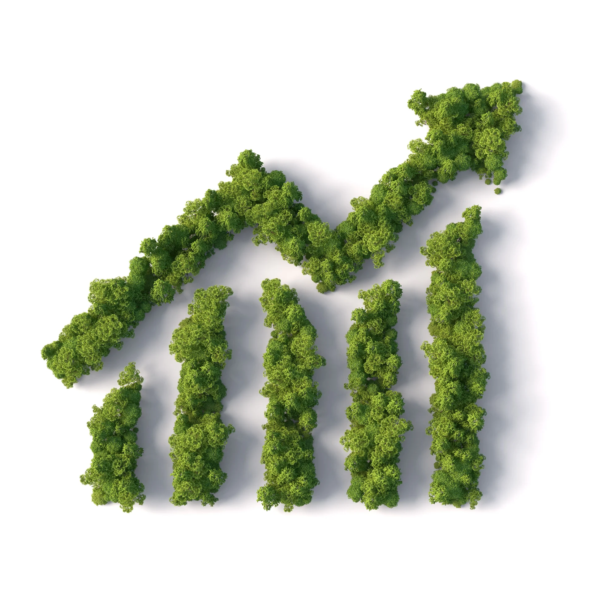 environmental report