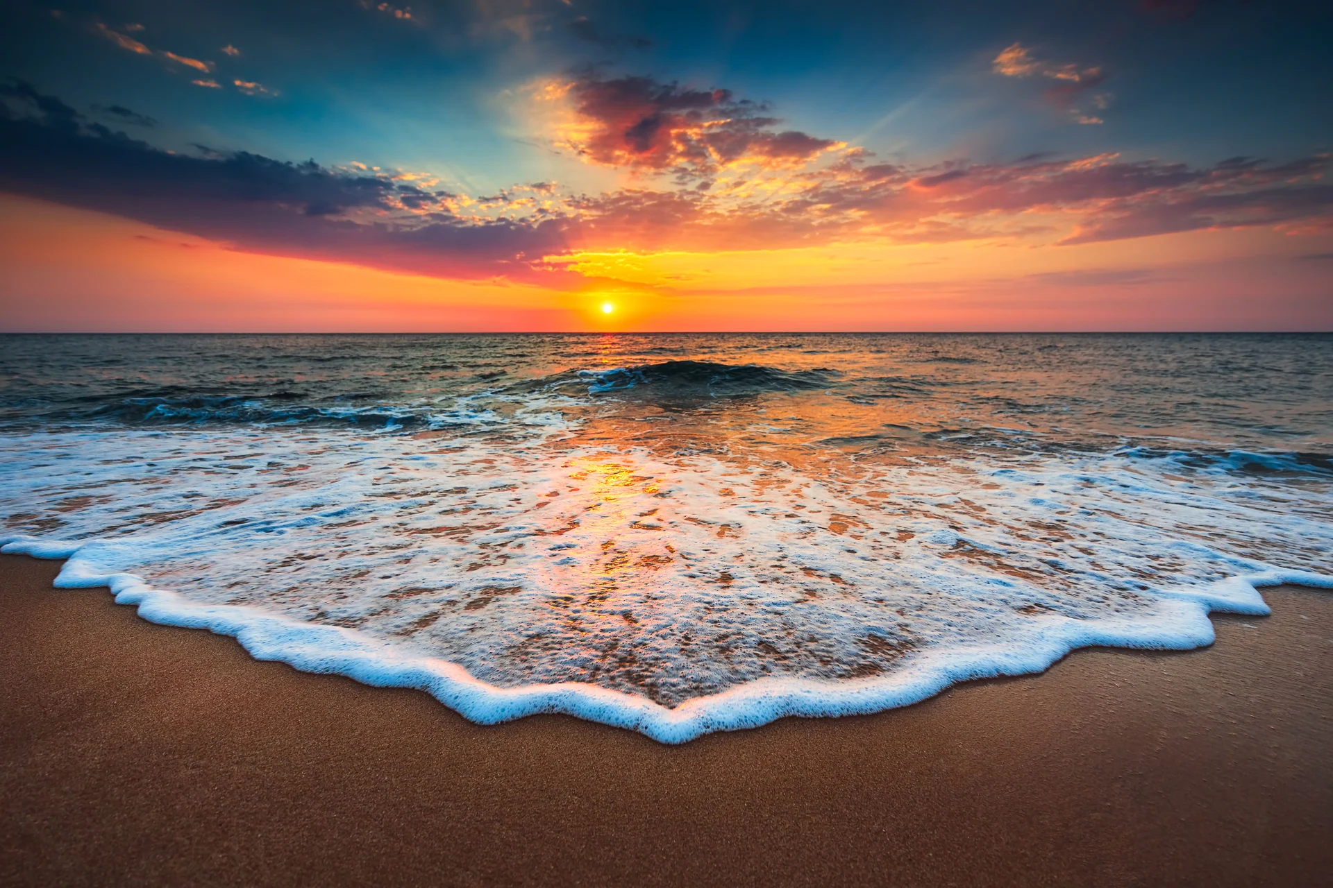 florida nature