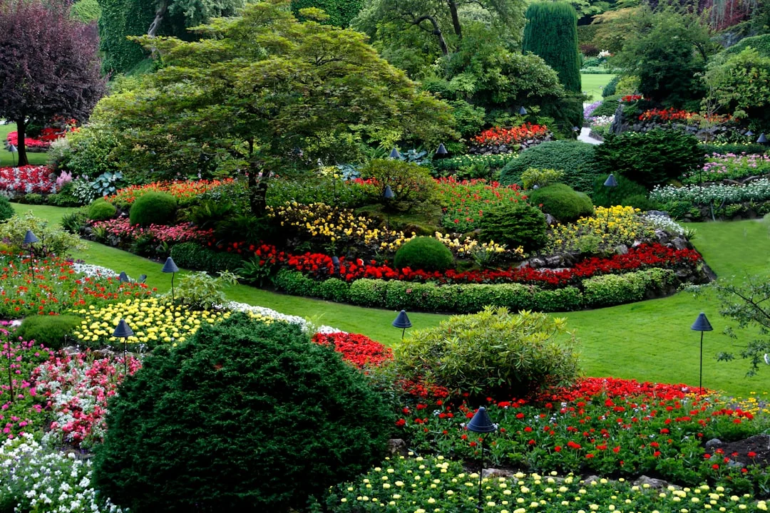 landscape garden