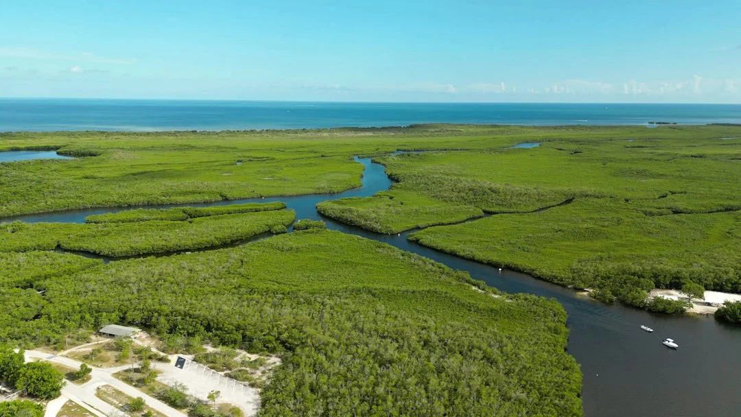 florida green infrastructure