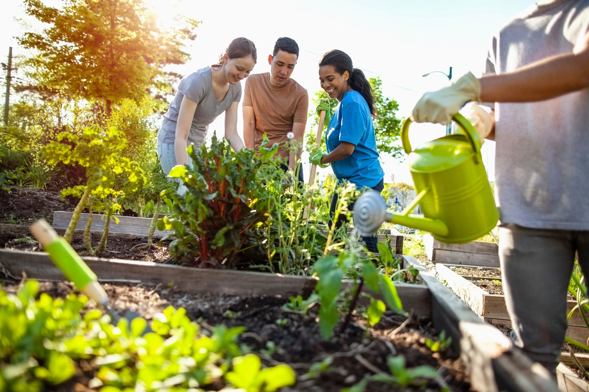 community garden