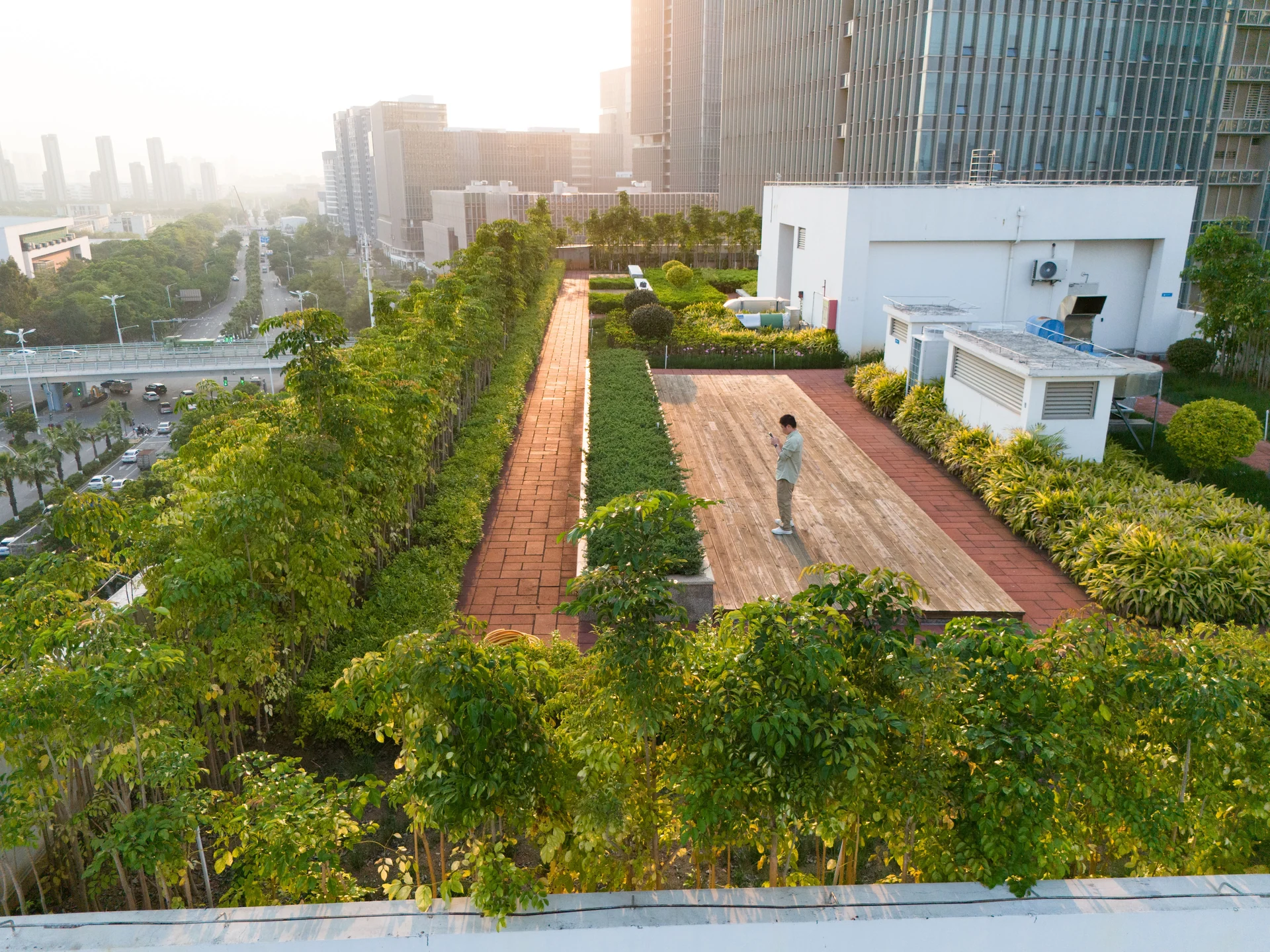 community gardening