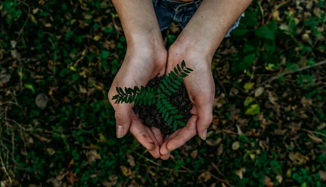 sustainability future