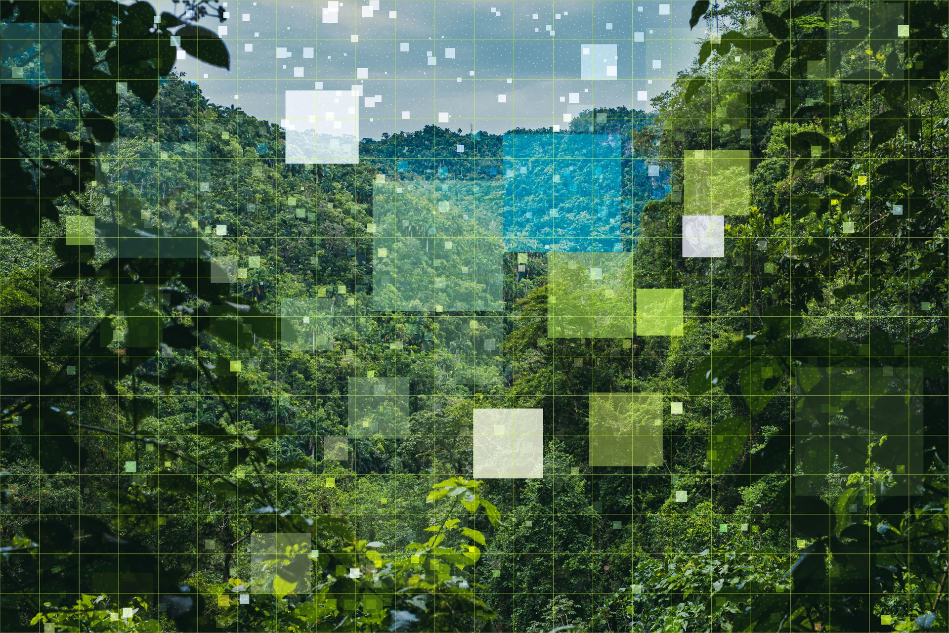 ai environment