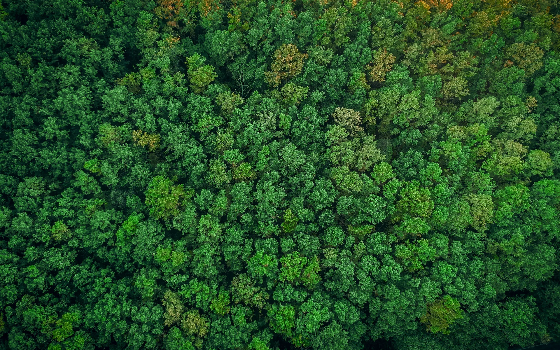 environmental education
