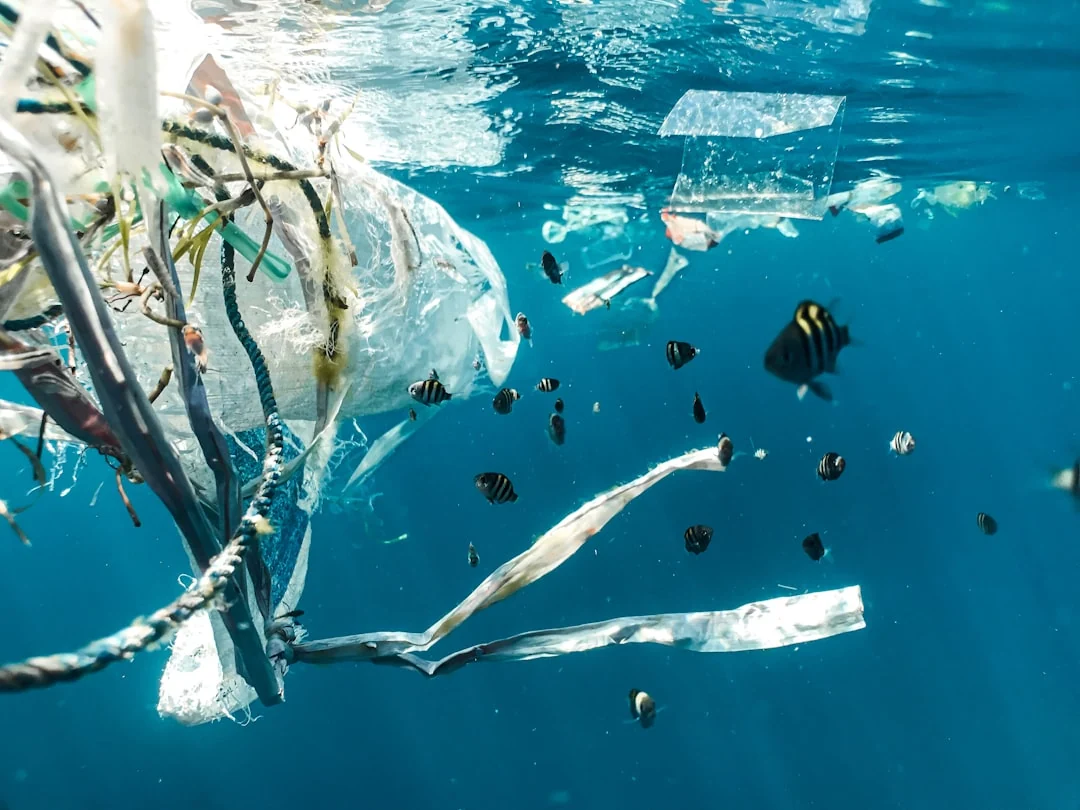environmental impact
