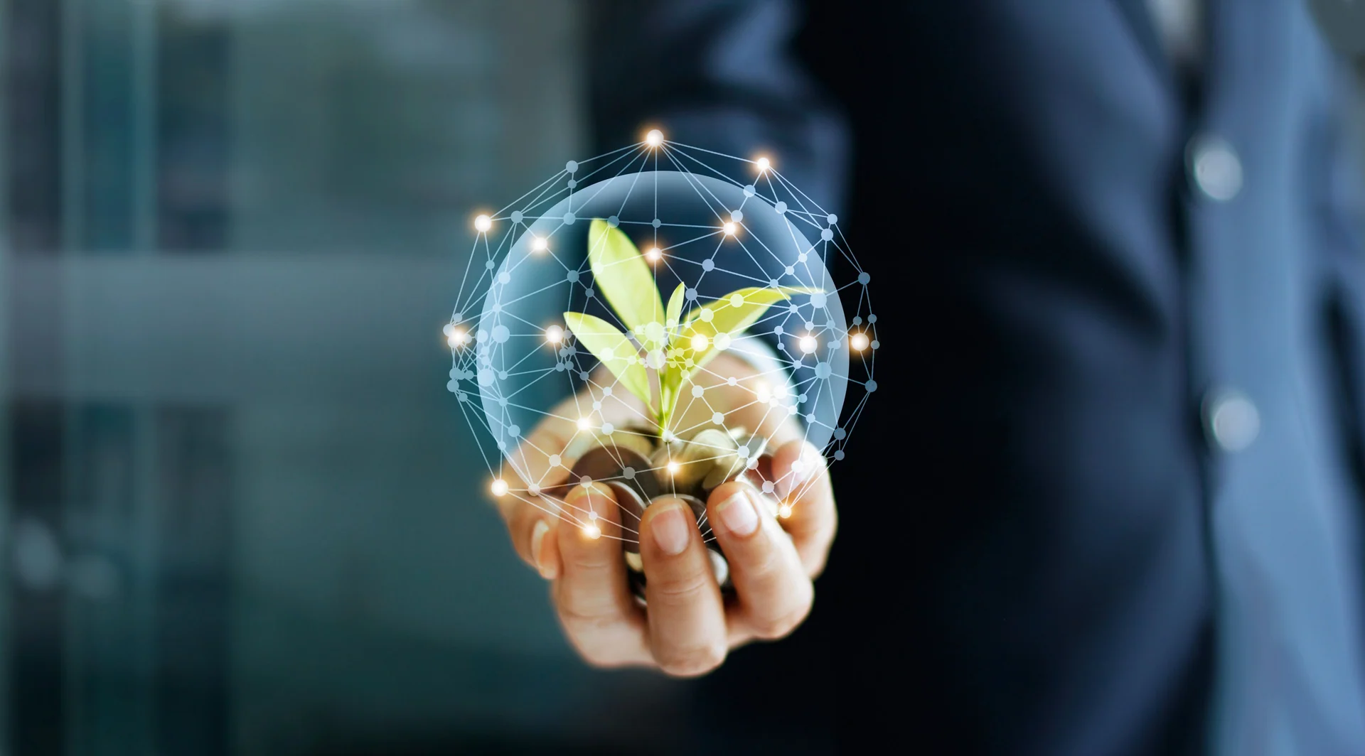 Businessman hand with coins and sprout in network connection. Plant growing on pile of coins money. Money growth concept. Businessman hand with coins and sprout in network connection. Plant growing on pile of coins money. Money growth concept.