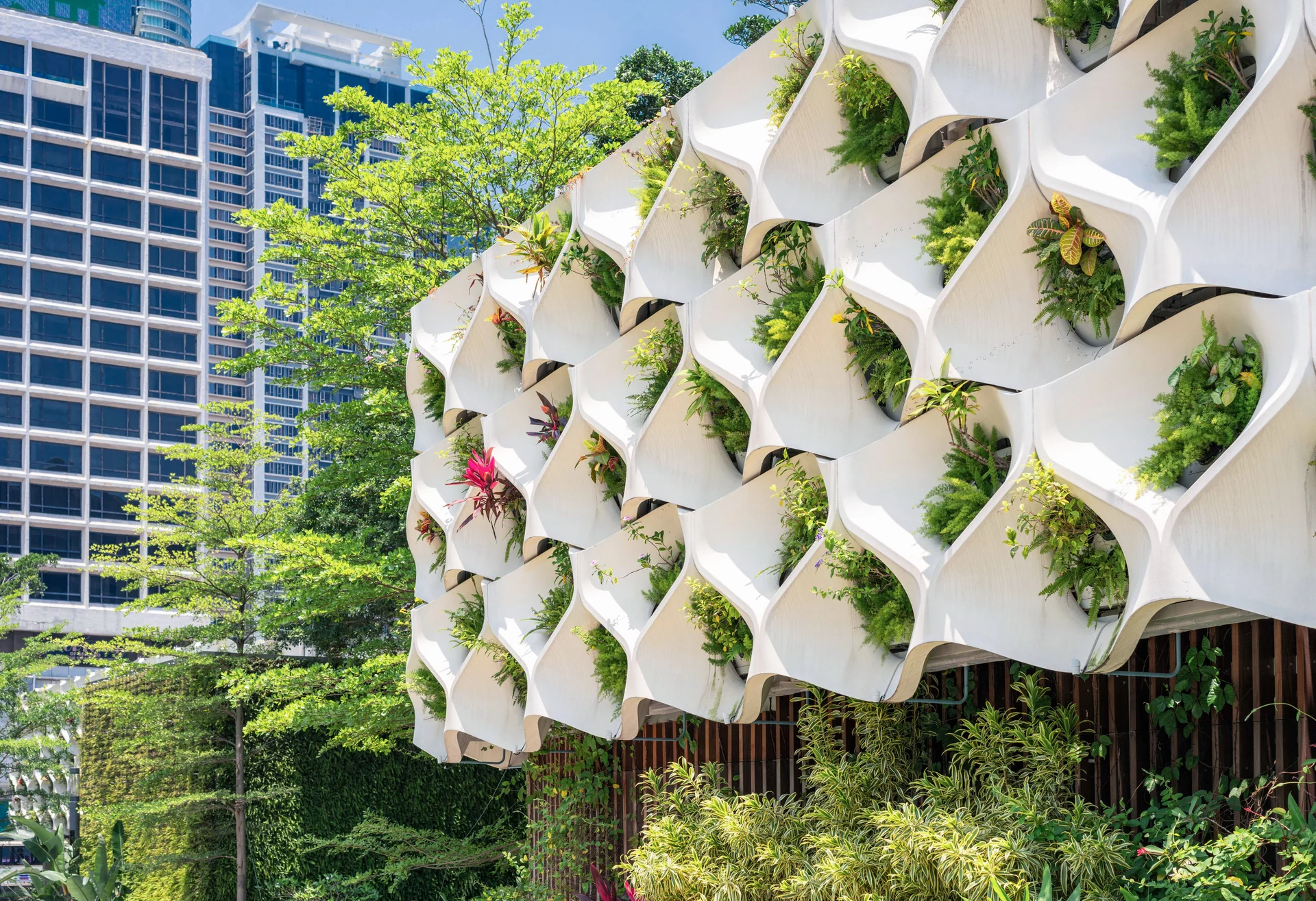 Vertical garden in Hong Kong Vertical garden in Hong Kong