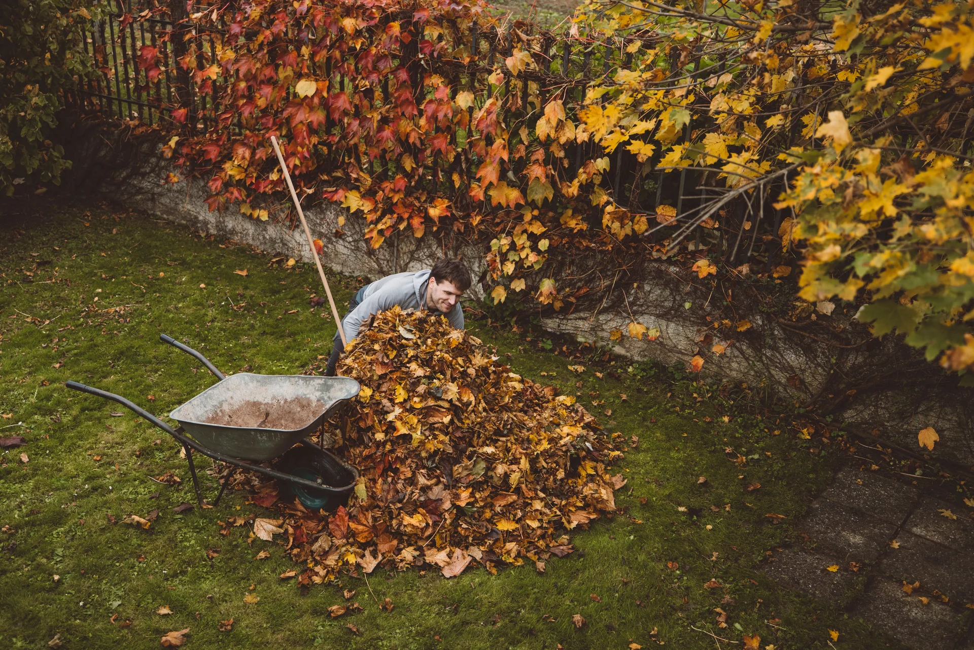 garden maintenance