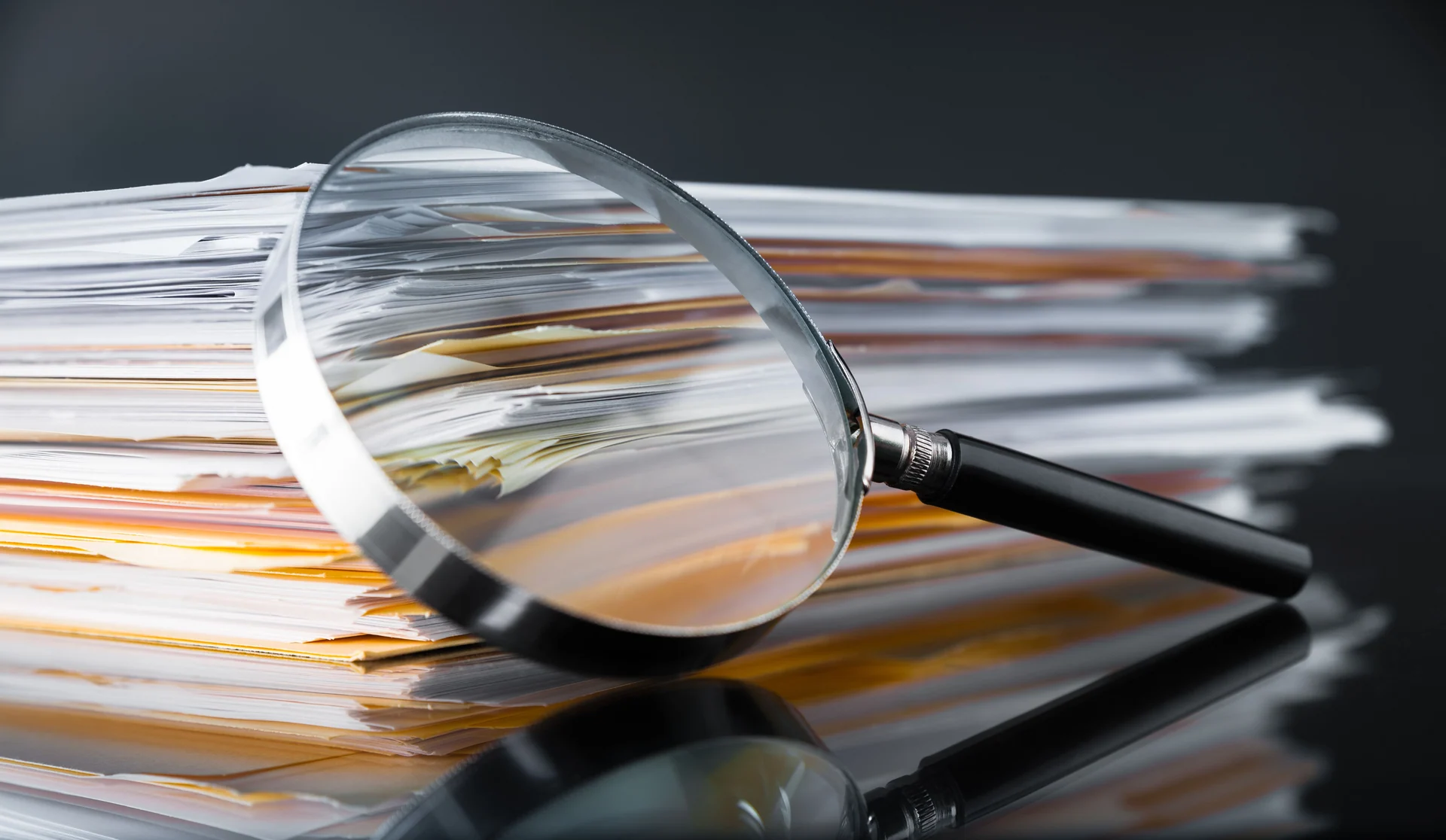 document review