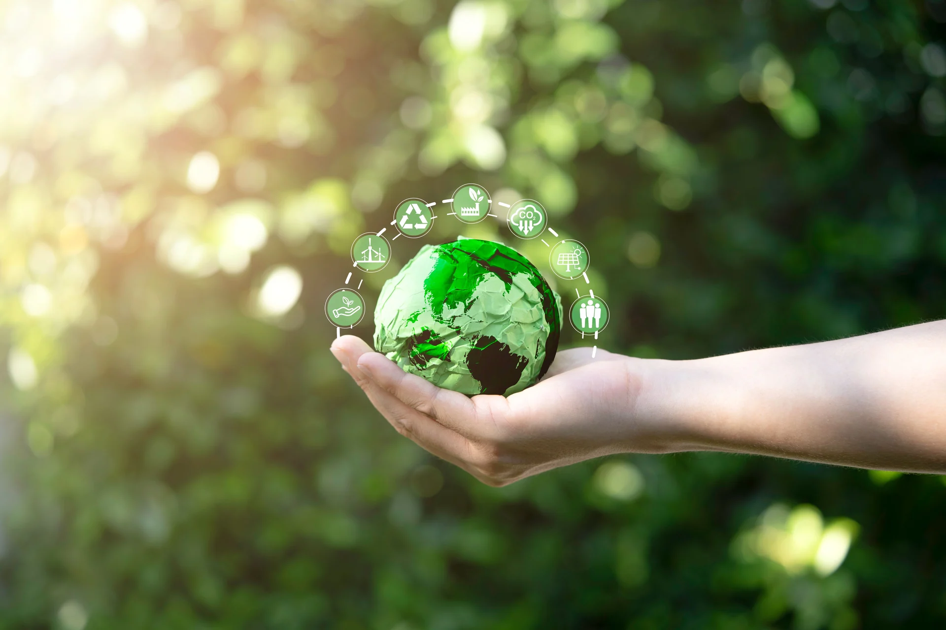 environmental impact