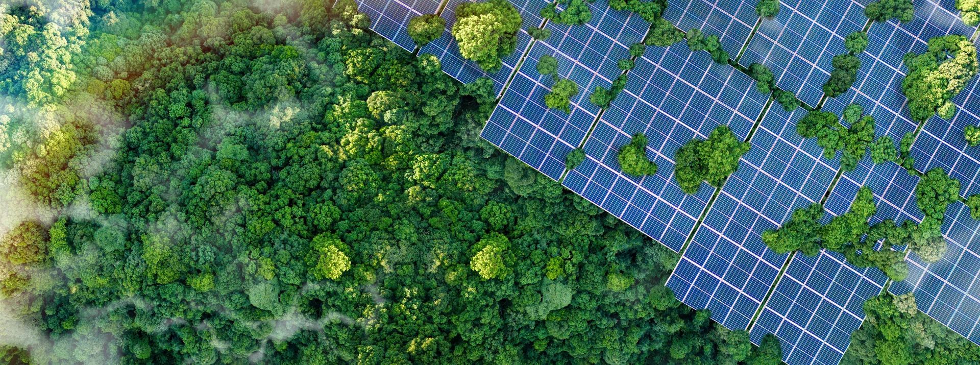 solar panels