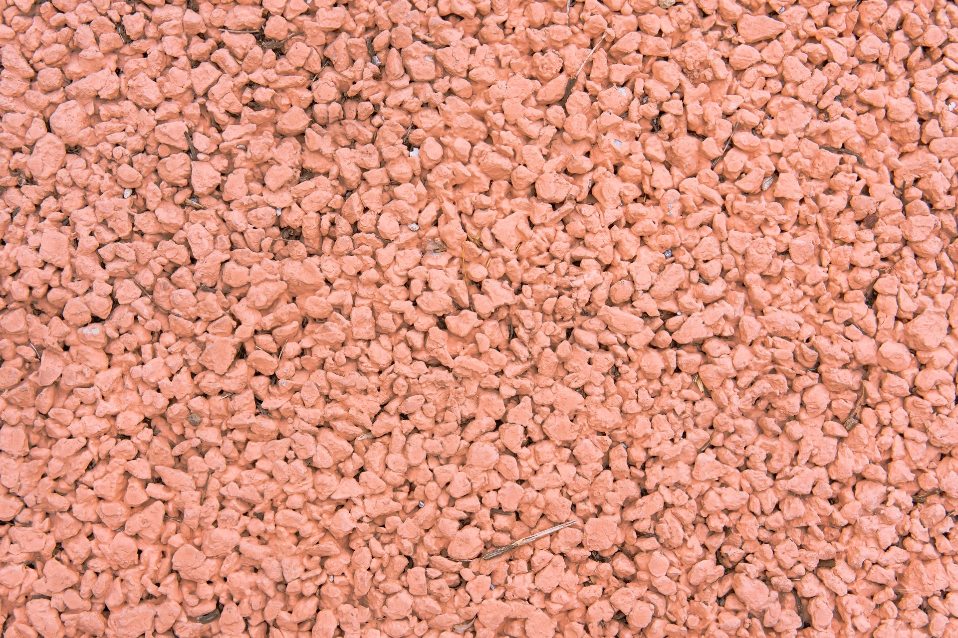 bio-swale