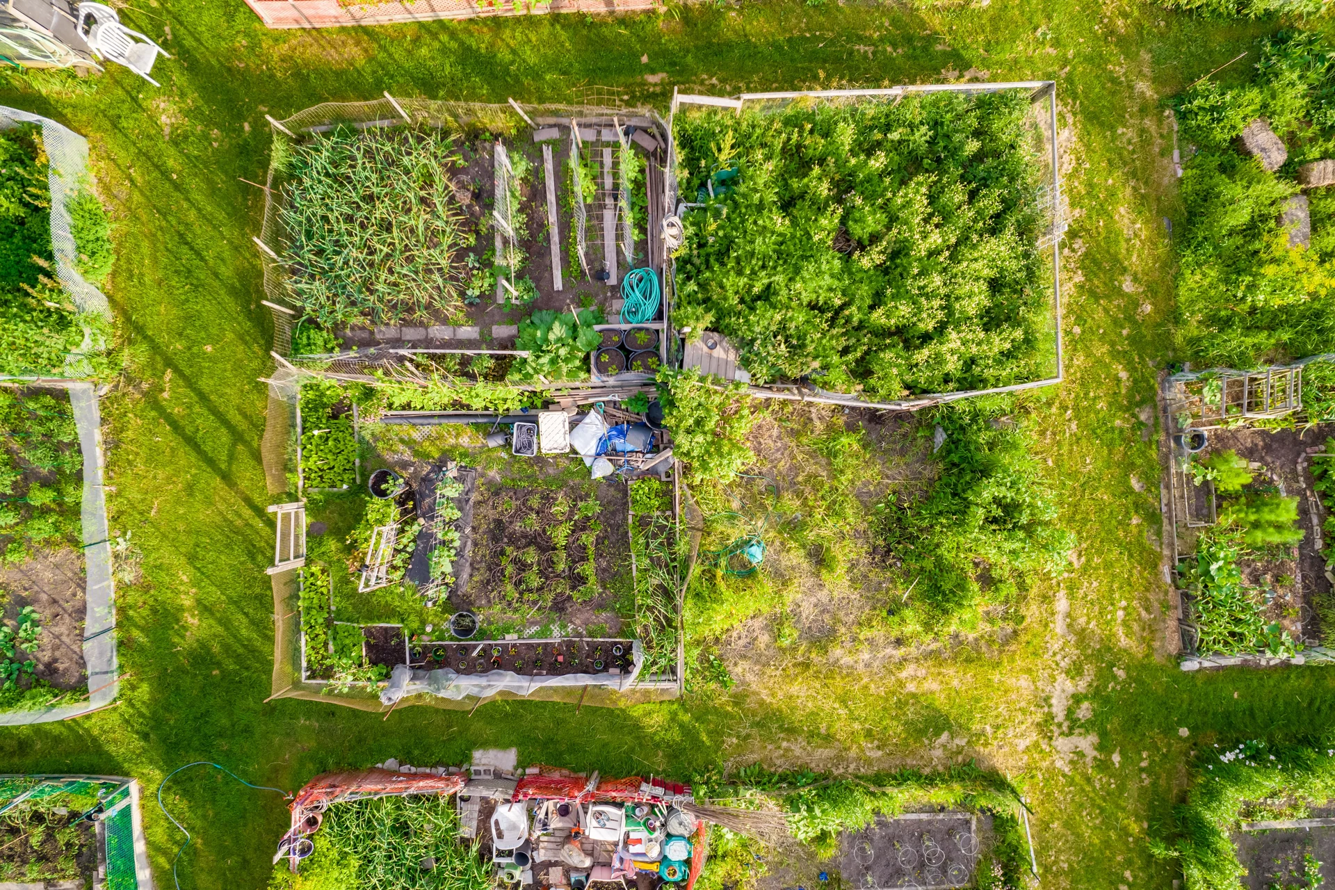 urban garden