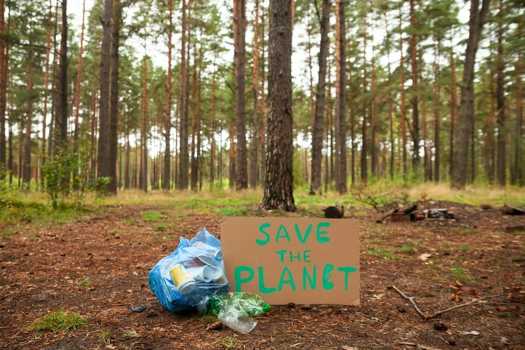 environmental project